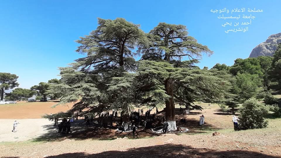 عين عنتر 01